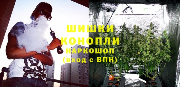 меф Дмитриев