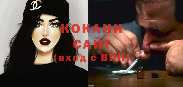 меф Дмитриев