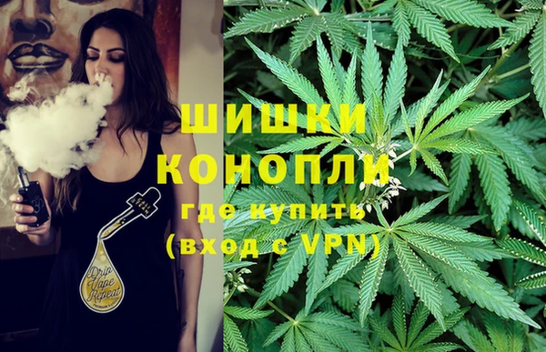 спайс Дмитровск