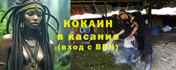 меф Дмитриев