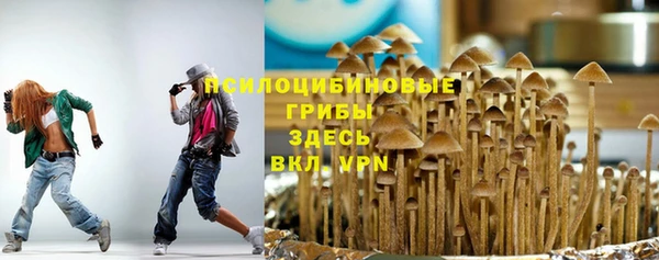спайс Дмитровск
