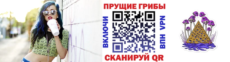 Псилоцибиновые грибы Magic Shrooms  Купить где  Тавда 